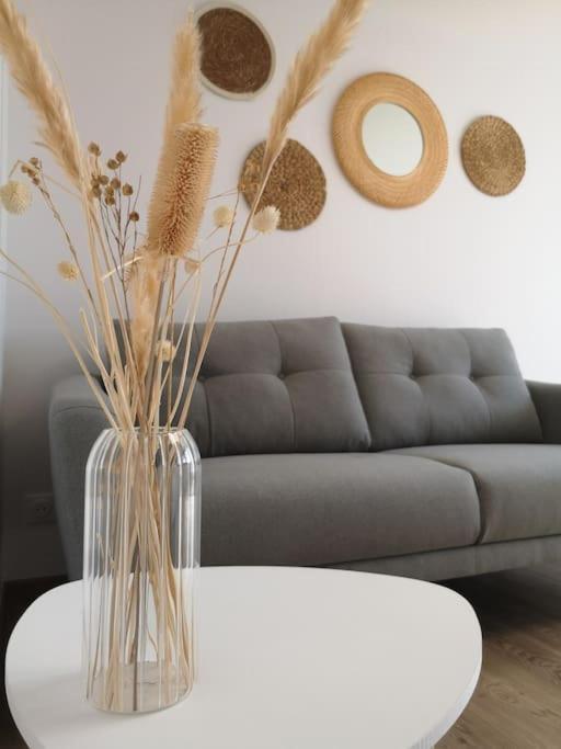 Apartamento T1 Bis Proche Marais Avec Garage A Moto Bourges Exterior foto